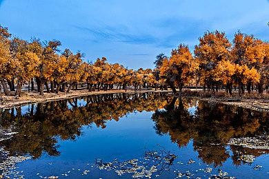 《艾尔登法环》无缝联机Mod现已支持《黄金树幽影》